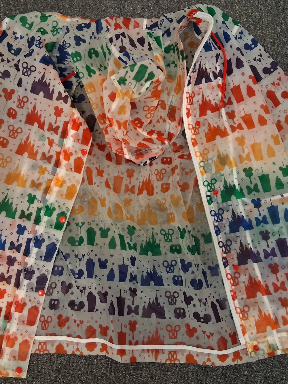 Disney Parks Rain Hoodie
